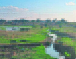 From the potty to the pipe to the river