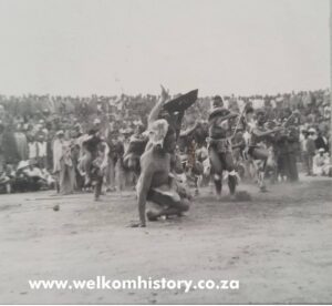 Goldfield history captured, immortalised