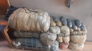 Officials score big in Odendaalsrus drug bust