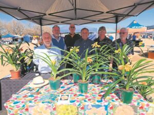 Clivia enthusiasts invited to show
