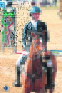 Horses outshine competitors