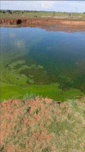 Teenager (14) drowns in sewage-filled Meloding quarry