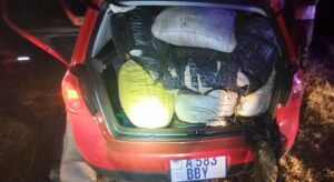 R50 000 se dagga gevind in 16 streepsakke in Koppie Alleenweg, Welkom