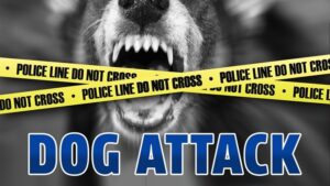 Two pit bulls viciously maul a 3-year-old to death