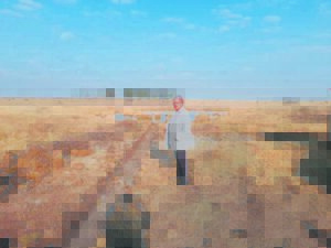 Sewage dumping probed