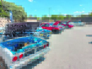 Gleaming cars dazzle