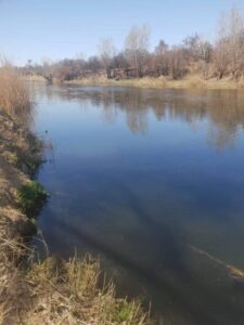 Mother guilty of son’s death