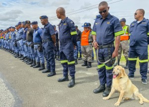 14 Nabbed, Gold Seized