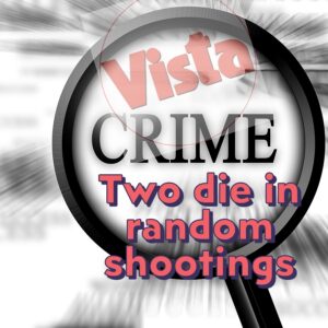 Shootings investigated