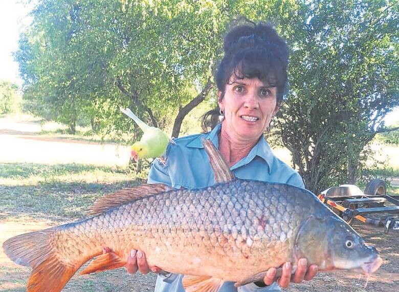 Reinette Barnard, algehele wenner van die Bloemhof Bonanza 2024, met haar wenkarp van 80 cm. Sy is die eerste vrou om dié toernooi te wen.