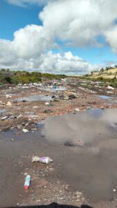 The beauty of nature reflects the ugly reality of the rubbish tip