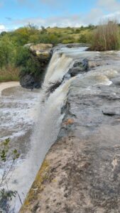 Goeie laat reëns oor sewe dae, maak dat die Swallows se waterval herleef