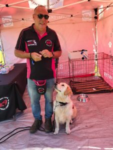 Fun, laughter amidst lessons