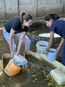 Welkom Gimnasium aan die werk by Blessings