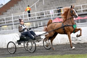 Ma en seun jaag drome op galop na