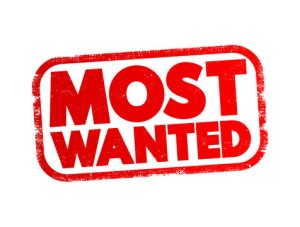 Suspect evades arrest after ditching firearms in Bronville