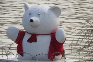 Annual swim definitely for the brave