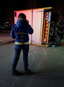 Much help provided to thoroughbred horses injured in accident in Welkom