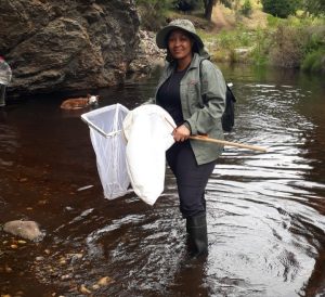 More than 60 new species described by Museum in Bloemfontein creates a buzz