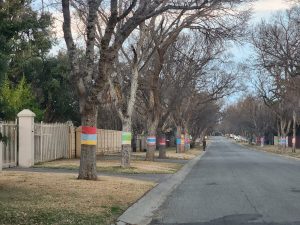 Splash of hues give peace of mind