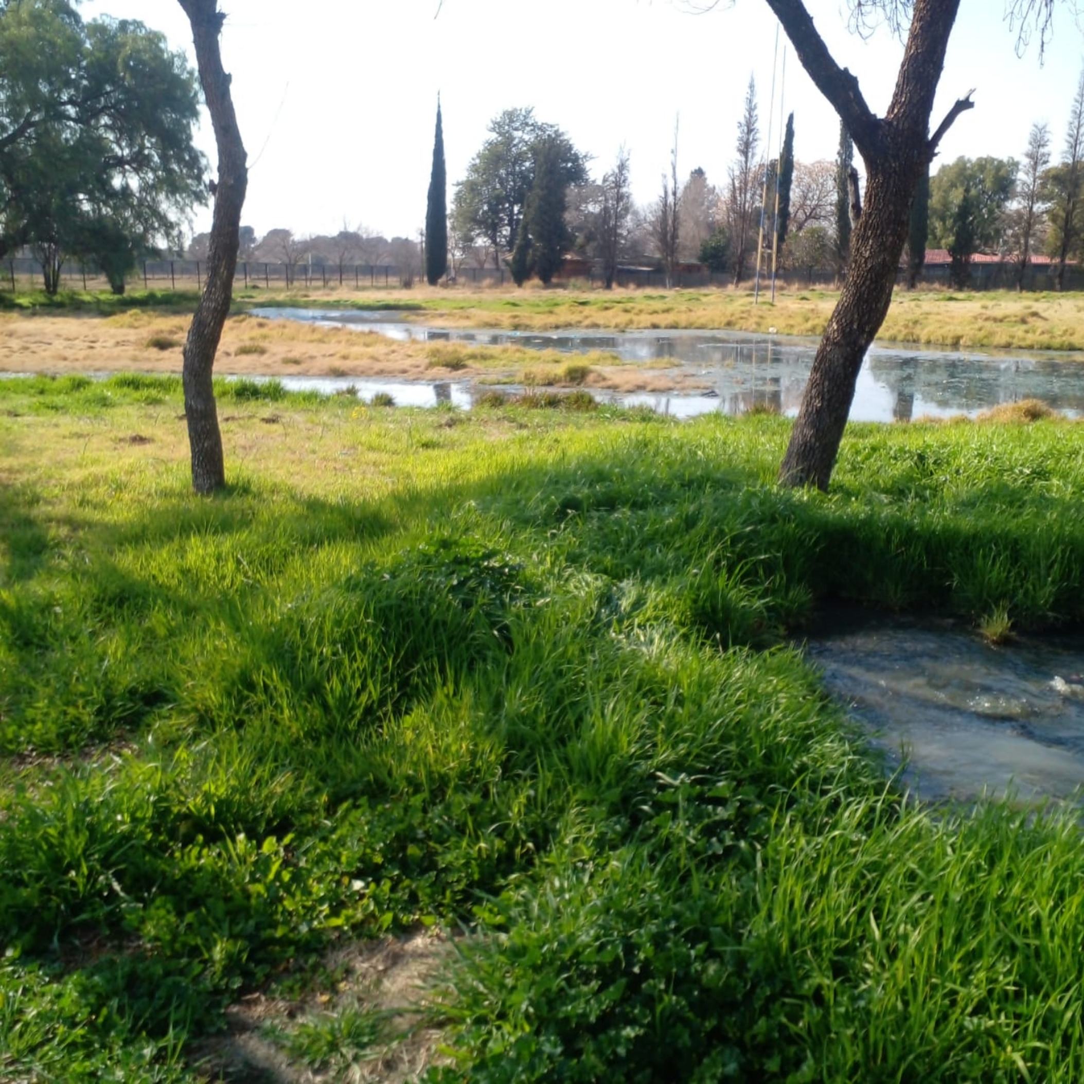 The sewage problem at Welkom Technical High School has been ongoing for a couple of years now. This situation adversely affects the health of the school's learners.