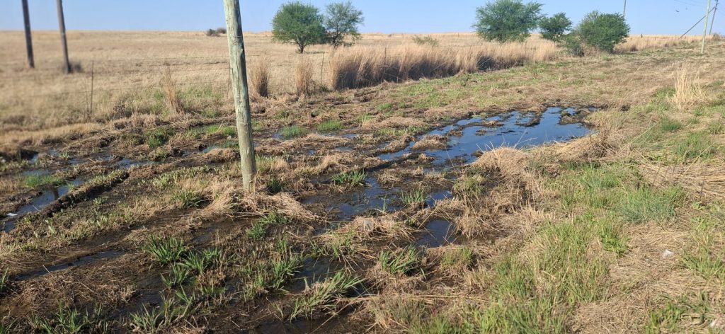Hennenman and Phomolong residents face chronic water restrictions for over 18 months due to mismanagement, leaks, and municipal debt.