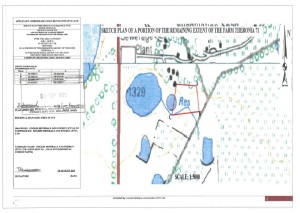 Illegal mining in wetlands in Welkom an environmental disaster