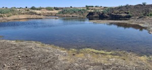 Hennenman se water bly krisis