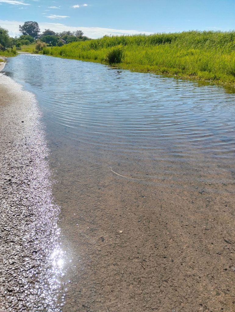 Fiskaal Street, Lakeview, Welkom has become virtually inhabital. Photo: Marti Will 