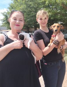 Welkom flea market continues four-decade tradition