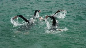 Open water swim at Gariep Dam event for whole family