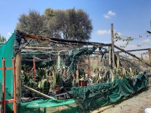 Verwoestende brand gestuit, erge skade verhoed