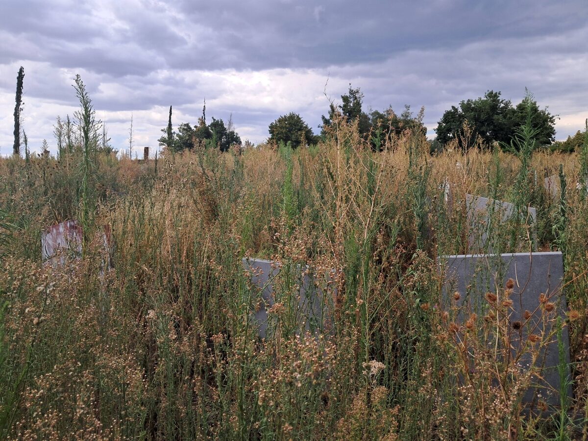 The Grave Restoration Project will focus on cleaning and restoring graves.