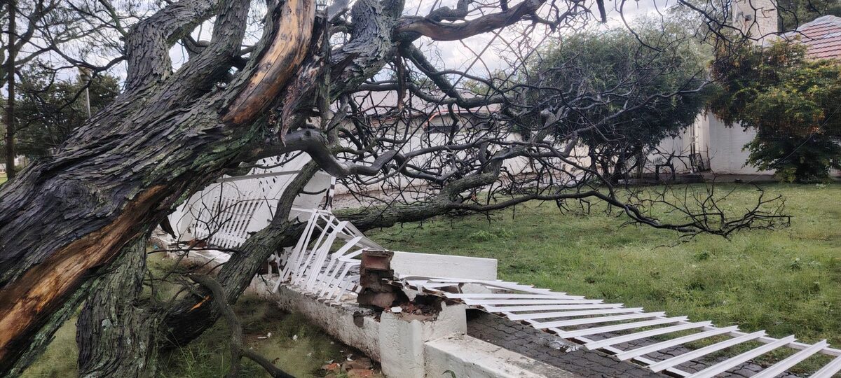 Angeleque Nel van Welkom het hierdie foto van haar verwoeste tuinmuur geneem.