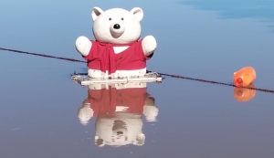 Ysbeer-seisoen hier, met talle kanse om koue water te wys wie is baas