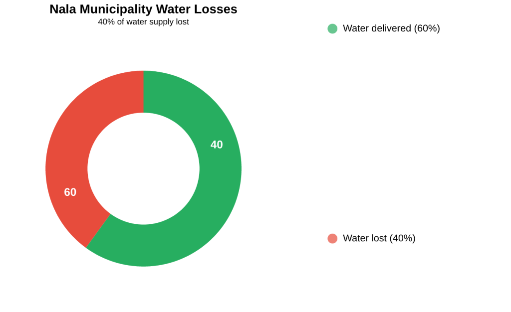 Nala Munisipaliteit water verliese