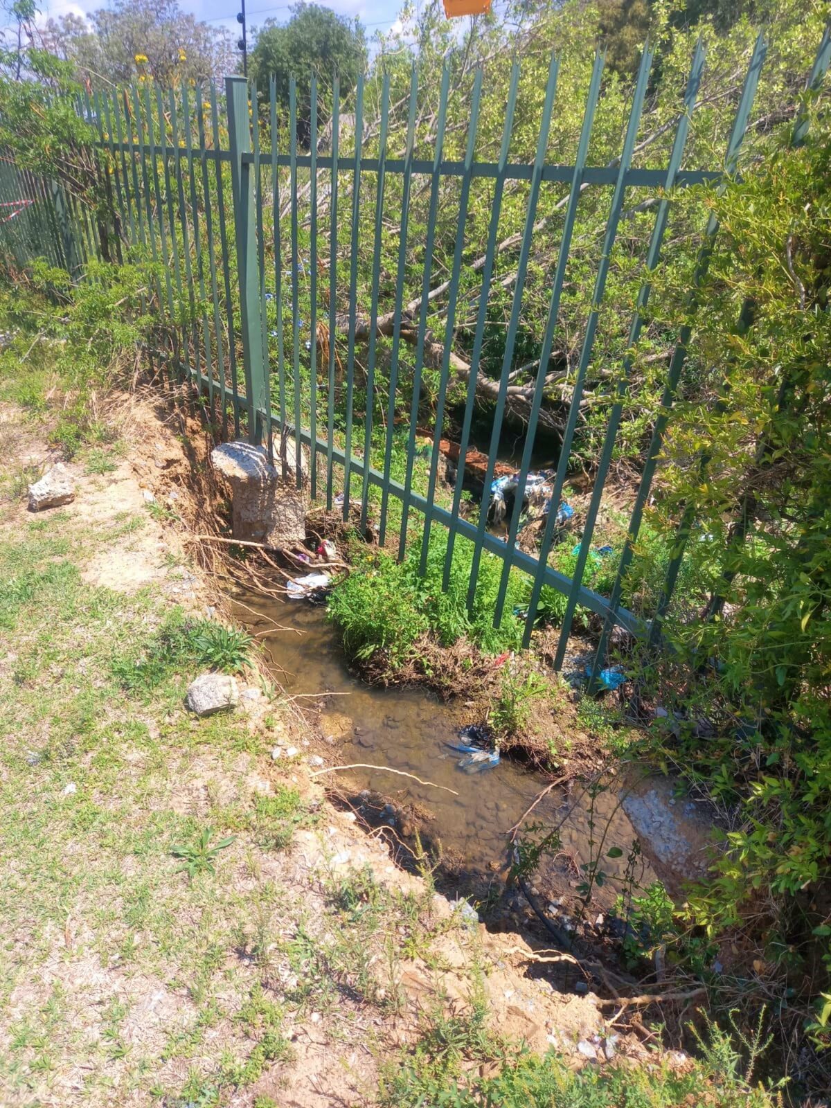Ward 33 candidate Claudia Doig has conducted several visits to the site