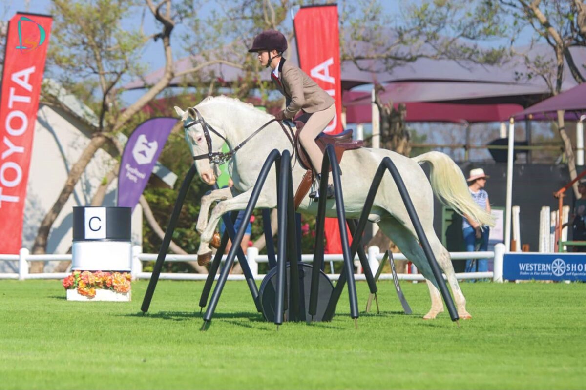 Hanno van Jaarsveldt and Storm Rider compete in the 2026 Sanesa National Championships
