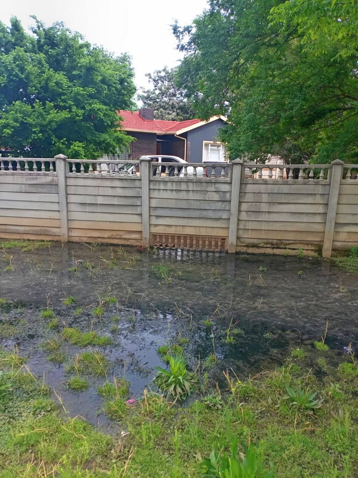 According to a concerned resident, Kevin Ostermeyer, the problem stems from a collapsed sewer line in Verona Road. 