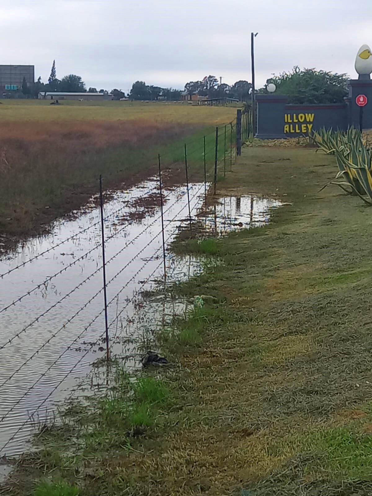 Learn about an environmental spill and illegal land occupation disputes.