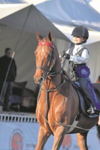 Ruiter galop vooruit