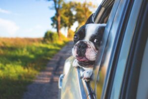 Proper preparation contributes to a joyful break-away