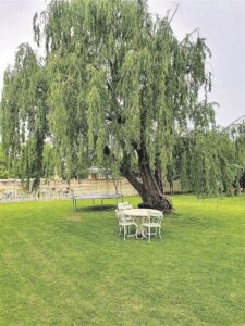 Tuin deel lesse