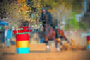 Ruiter seëvier hier