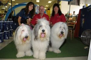 Dulux-honde vier Kersfees