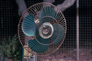 Stay safe in the heatwave