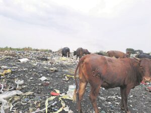 Optrede rondom erg besmette spruit bepleit