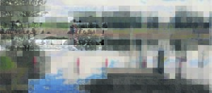 Erns gemaak met vloeding by grafte