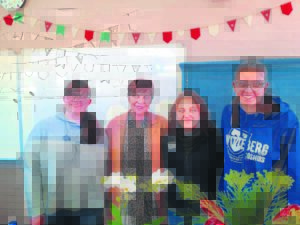 Woon skryfskool vir taalliefhebbers by