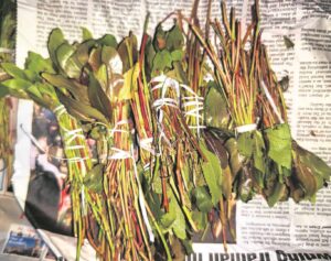 Tip-off leads to costly bust